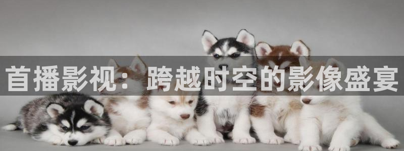 泡泡影视在线观看电影