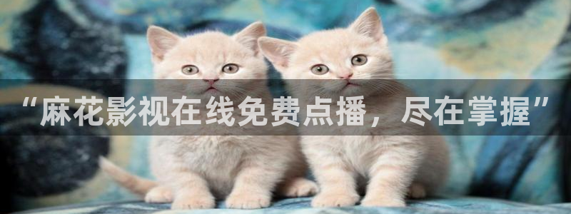 制作泡泡机：“麻花影视在线免费点播，尽在掌握”