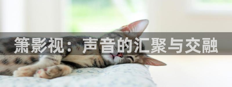 泡泡影视,：箫影视：声音的汇聚与交融