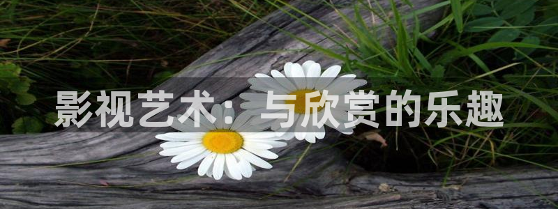 泡泡影视片哈网
