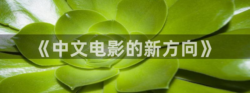 泡泡视频在线播放免费观看：《中文电影的新方向》