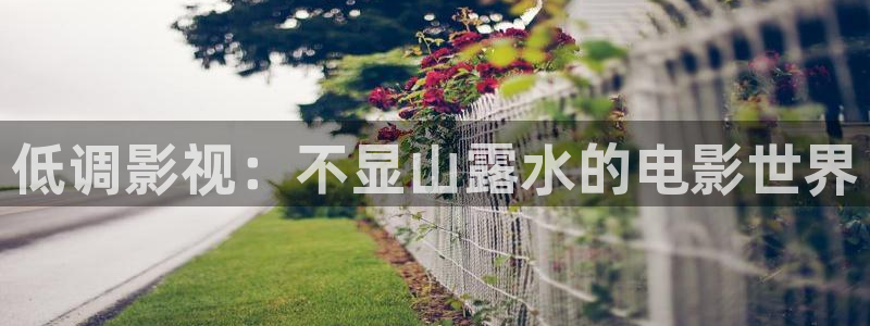 泡泡影视在线看