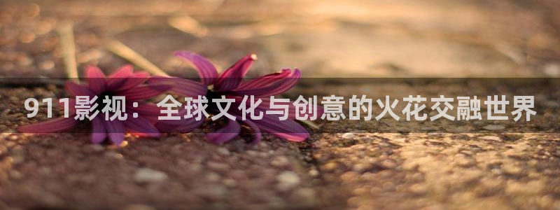 泡泡影视免费在线