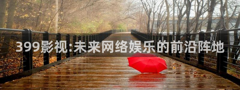 泡泡影院电影天堂：399影视:未来网络娱乐的前沿阵地